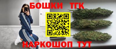 сатива Краснодар