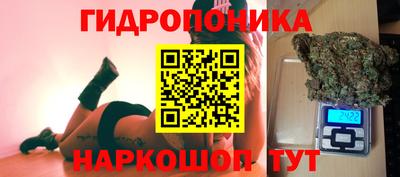 сатива Краснодар