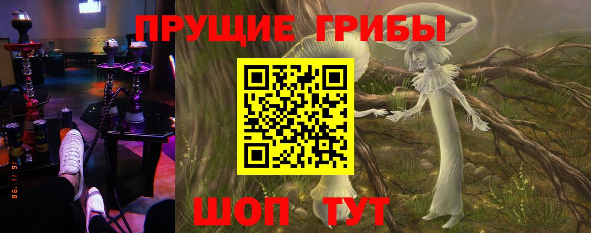 Псилоцибиновые грибы GOLDEN TEACHER  Вход с VPN  Заволжье  Псилоцибиновые грибы мицелий 